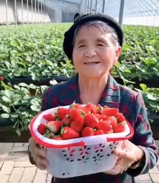 建筑砌块销售 第446页