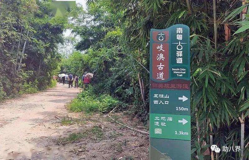 今晚上澳门开什么,精准分析实践_收藏版81.174