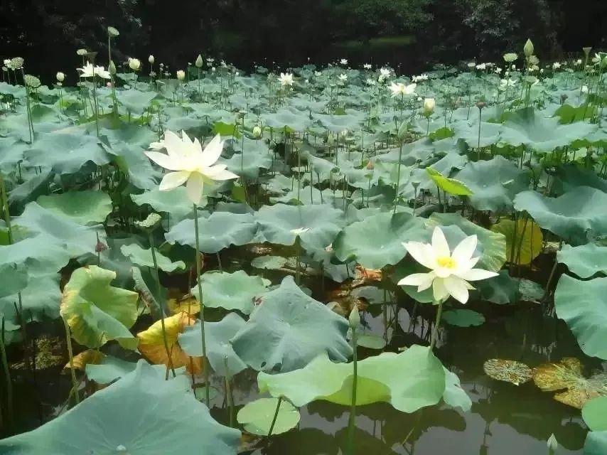 建筑砌块制造 第388页