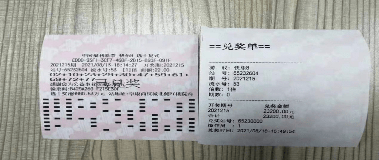 新澳门天天开好彩大全开奖记录,专业调查具体解析_传承版65.124