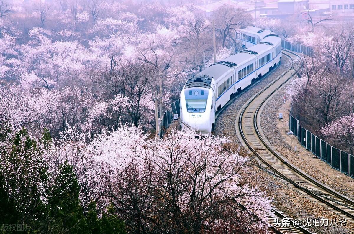 建筑砌块销售 第357页