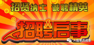 皮革行业最新招聘动态，背景、事件分析与影响展望