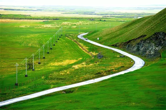最新草原黑暴,🌱最新草原黑暴🌪️