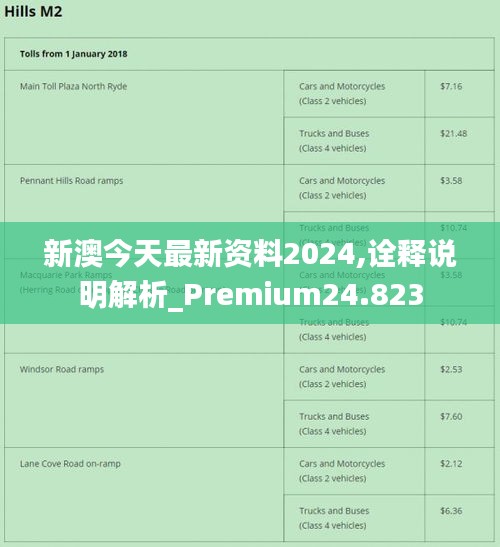 2024新澳精准资料免费提供下载,快速处理计划_演讲版72.839