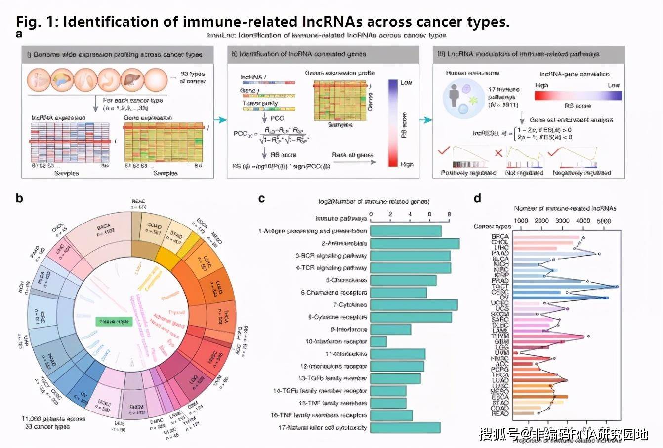 新澳内部资料免费精准37b,科学解释分析_UHD1.410
