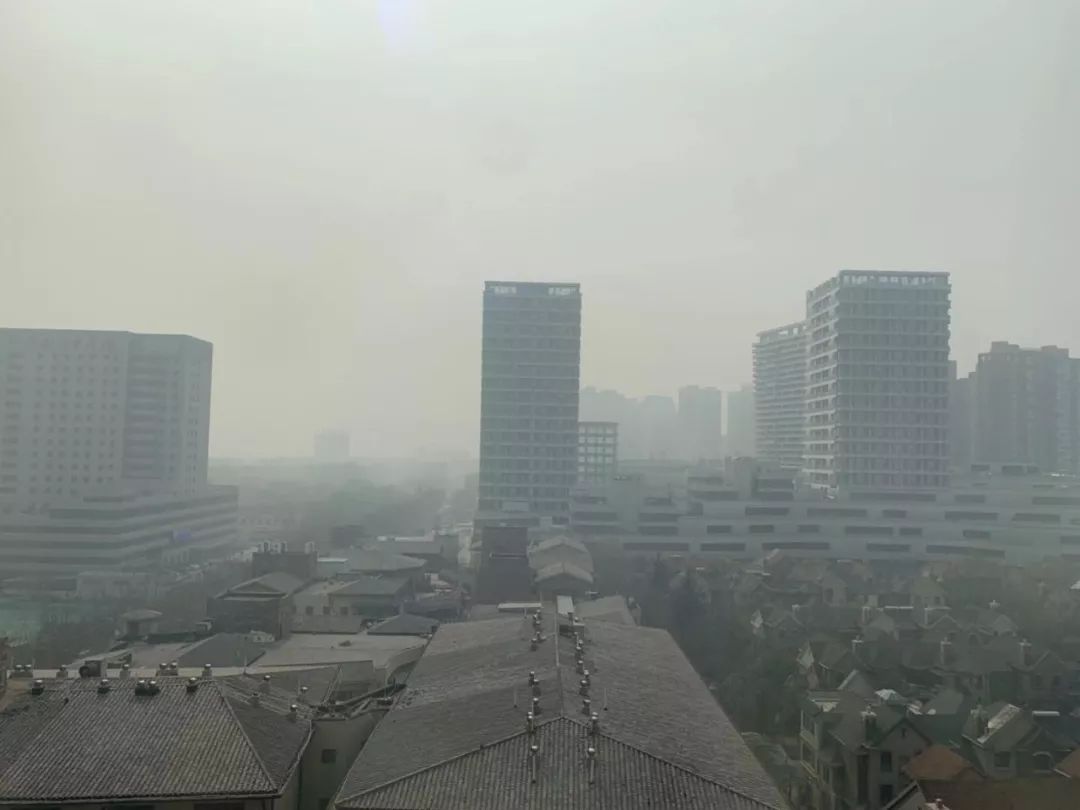 郑州气象变迁中的励志篇章，最新气象报告更新