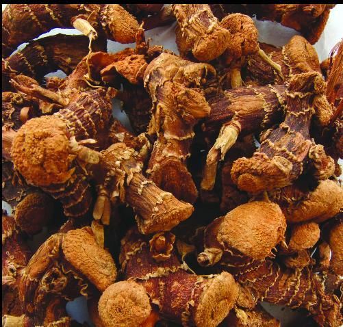 良姜最新行情,良姜最新行情，高科技良姜产品引领时代潮流，重塑生活体验