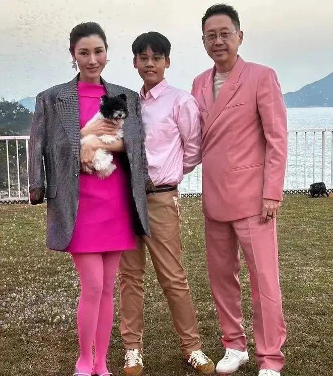 台风最新近况及其影响深度解析，一种观点分析视角