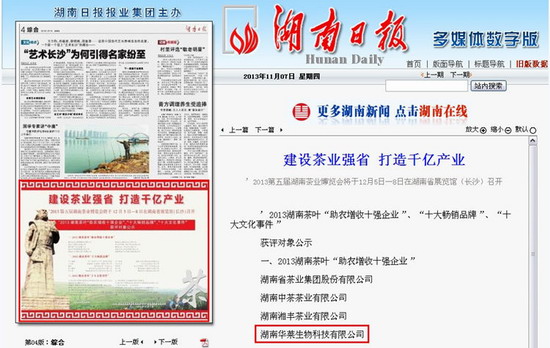 华莱资讯，引领你探索最新动态，洞悉时代脉搏的资讯平台